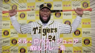 【退団】阪神タイガース、ロハスJrのプレー,ホームラン集