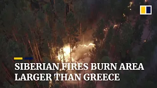 Months of fires in Siberia, Russia have scorched area larger than Greece