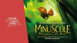 Mathieu Lamboley - Mystères de la jungle | From the movie "Minuscule: Mandibles From Far Away"
