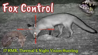 Fox Control Pest Shooting || 17HMR Hunting