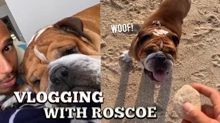 Adventures with Roscoe! | Lewis Hamilton Vlogs