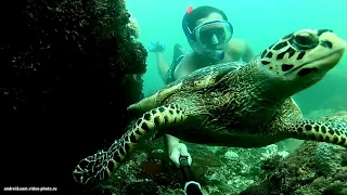 Seychelles. Snorkeling on Mahe Island.