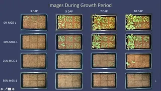 Martian Regolith as a Substrate for Foreign Planetary Horticulture