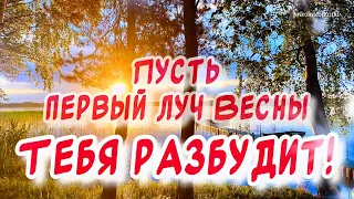 Тебе сегодня от меня 🕊️ Доброе утро! С первым днем весны!  Красивое весеннее пожелание ￼для тебя