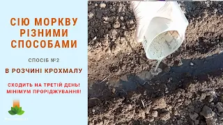 Суперспосіб посіву моркви в крохмалі гарантує швидкі сходи та мінімум проріджування!