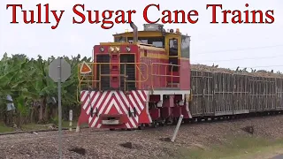 Tully Sugar Narrow Gauge Cane Trains (2 Ft Gauge Diesel Locos, North Queensland Railway, Australia)