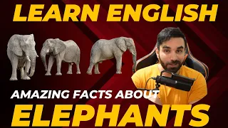 Amazing Facts about Elephants / Learn English #podcast #englishlanguage #englishlearning