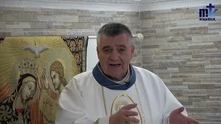 Homilía de hoy | Visitación de la Bienaventurada Virgen María | 31-05-2024 | P. Santiago Martín, FM