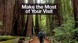 Muir Woods National Monument Must-Do Hikes