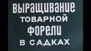 Выращивание товарной форели в садках (Леннаучфильм) 1974 г.