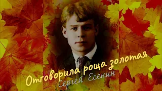 "ОТГОВОРИЛА РОЩА ЗОЛОТАЯ" - Сергей Есенин. Песня под гитару.