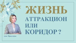 Жизнь - аттракцион или коридор? Для чего создана реальность? КАББАЛА: РАЗУМ И ЧУВСТВА /выпуск 136/