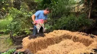 The Garden Gurus - Straw Bales Planters