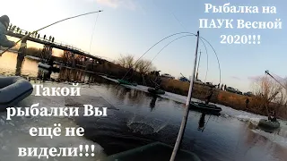 Рыбалка на ПАУК-ПОДЪЁМНИК. Такой рыбалки с ЛОДКИ на паук вы еще не видели!!! Ловля щуки ВЕСНОЙ.