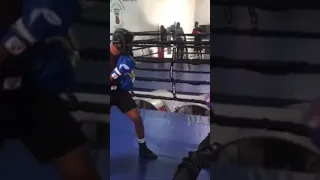Devin Haney using his jab in sparring (more Devin Haney old  clips are coming 🤲subscribe