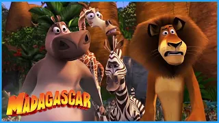 DreamWorks Madagascar | Who's Making That Noise? | Madagascar Movie Clip