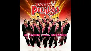 Banda Pelillos Mix 2022 (Éxitos)