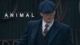 Animal | Peaky Blinders