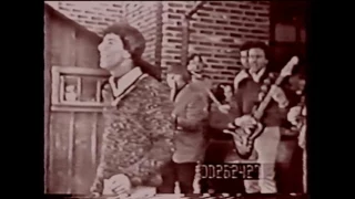 The Outsiders - Time Won't Let Me - 1966 rare clip