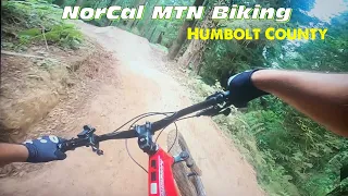 BREATH TAKING MTB trails in NorCal // Upper Arcata Community Forrest // Jump Trail // Vlog Ep. 022