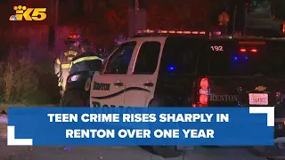 Teen crime rises sharply in Renton over one year period