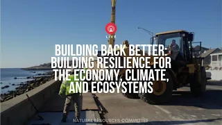 Building Back Better: Building Resilience for the Economy, Climate, and Ecosystems