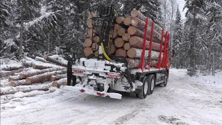 Лесосека. Постройка съезда. Вывозка леса. Фотоловушки.