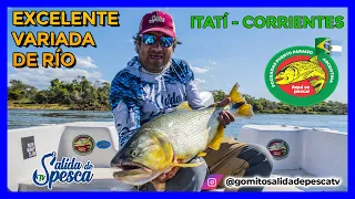 Pesca de DORADOS y Surubí en POUSADAS PUERTO PARAÍSO ITATI CORRIENTES