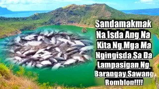 Hundreds Of Tulingan Washed Ashore In Barangay Sawang Romblon | E.A Showtime