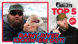 Target Walleye's Top 5 of the Week! 🔥 (Ep 70)