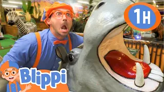 Blippi Explores Jungle Animals! 🐯 RAWR! 🐯 | Preschool Learning | Moonbug Tiny TV