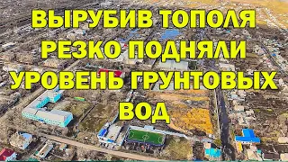 Резко вырос уровень грунтовых вод после того как уничтожили парк, вырубив за раз более 100 тополей.