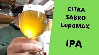 Driving Hop Aroma *No Dry Hopping* Citra & Sabro LUPOMAX IPA