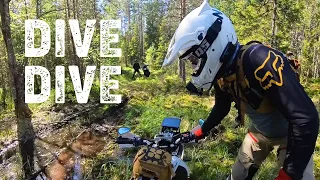 Mangwood Allstars - Trail riding in Värmland with the stars of the industry