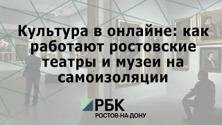 Культура в онлайне: как работают ростовские театры и музеи на самоизоляции