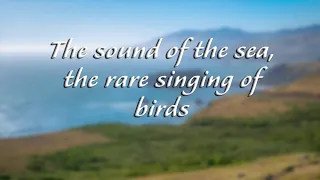 1 stunda jūras skaņas ar retu putnu dziesmu Relaksējošas dabas skaņas