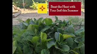 Your Ultimate Secret Weapon for Growing in the Hottest Days of Summer