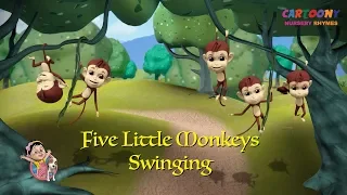 Five Little Monkeys Swinging in a Tree | 5 Little Moneys Songs | Cartoony Nursery Rhymes