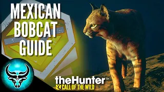 The Complete Diamond Mexican Bobcat Guide with Hotspot Map | Rancho Del Arroyo | Call of the Wild