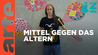 Werden wir ewig leben? | 42 - Die Antwort auf fast alles | ARTE