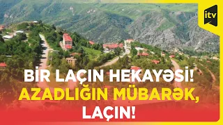 Bir Laçın hekayəsi! Azadlığın mübarək, Laçın!