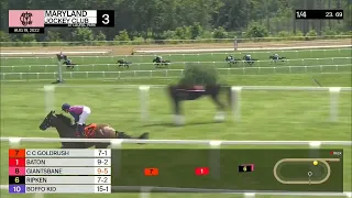 Laurel Park Carrera 3 - 19 de Agosto 2022