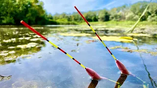 ЦАР ВОДОЙМИ ЛИНЬ👑👑👑 і КАРАСЬ ПРУТЬ ПОПЛАВОК в КУВШИНКУ!!!