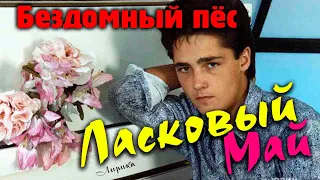 Ласковый май  - Бездомный пёс (редкое видео)