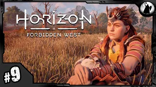 #9 PS5 / Horizon Forbidden West - макс сложность.