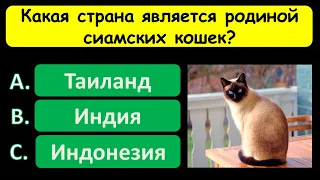 Вы начитанный человек? Тест на эрудицию! Проверьте свои знания.  #тестнаэрудицию #викторина #тест