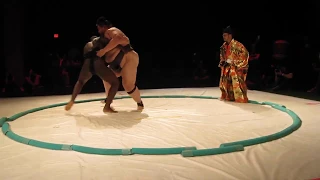 600-lb Yamamoto, UFC Anthony Rumble Johnson in celebrity sumo battle at SubStars Miami