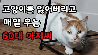 60대 오토바이 배달하는 아저씨를 울게만든 고양이 '밍키'[고양이탐정]How to find a lost cat