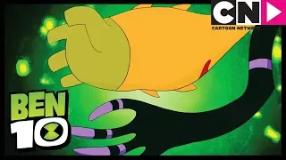 ¡NUEVO Alienígena! | Ben 10 en Español Latino | Cartoon Network