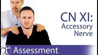 Cranial Nerve 11 | Accessory Nerve Assessment for Physiotherapists